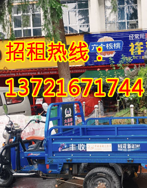 雪莲巷1